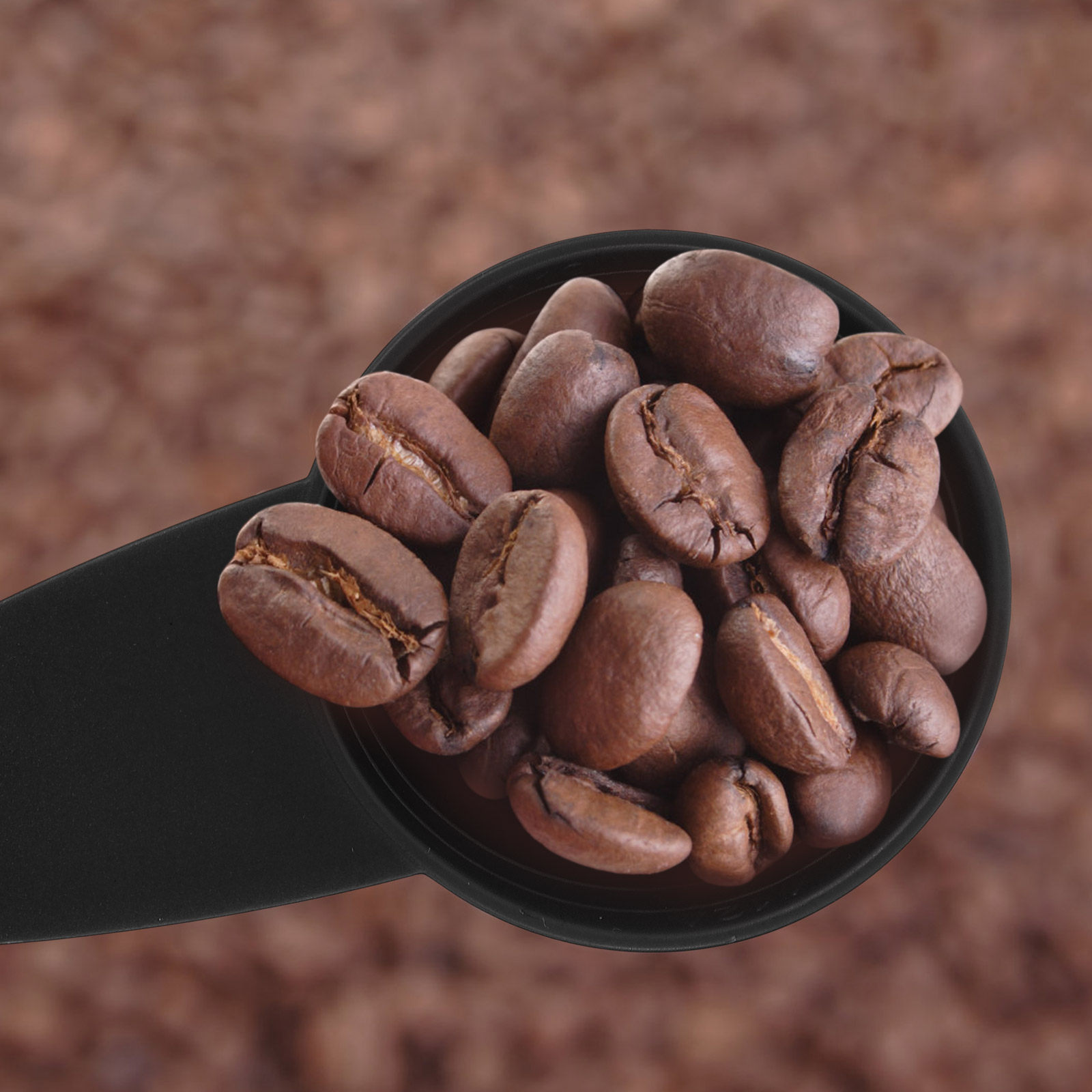 5 szt. Miarek kuchennych z dłu – Coffee Tea Spices recenzja i cena